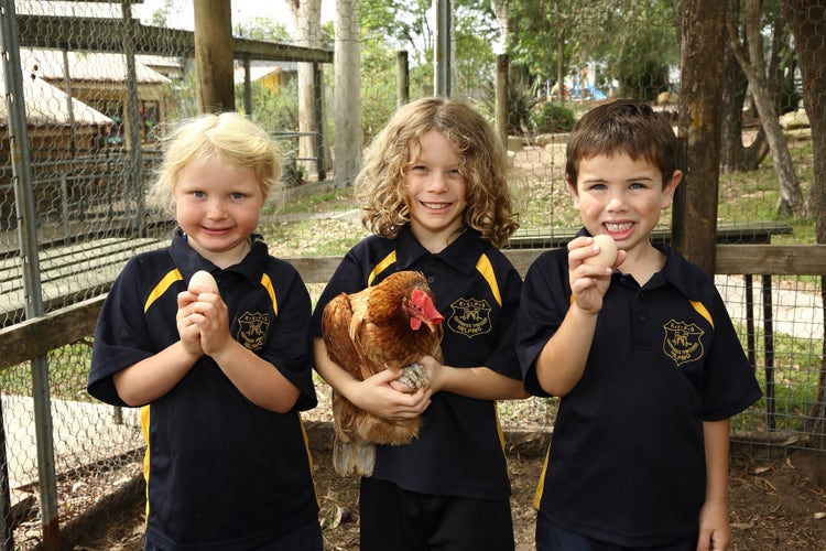 Students with our school chickens and collecting the eggs